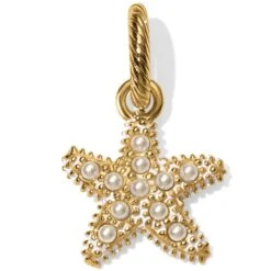 Beach Star Charm Necklace 9 Beach Star Charm Necklace -Brighton beach star charm necklace gold 3 e21bdf08 dcd2 4498 a00b b6e4a74360d0