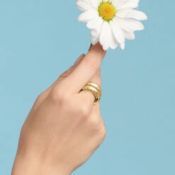 Inner Circle Double Ring -Brighton inner circle double ring gold 2