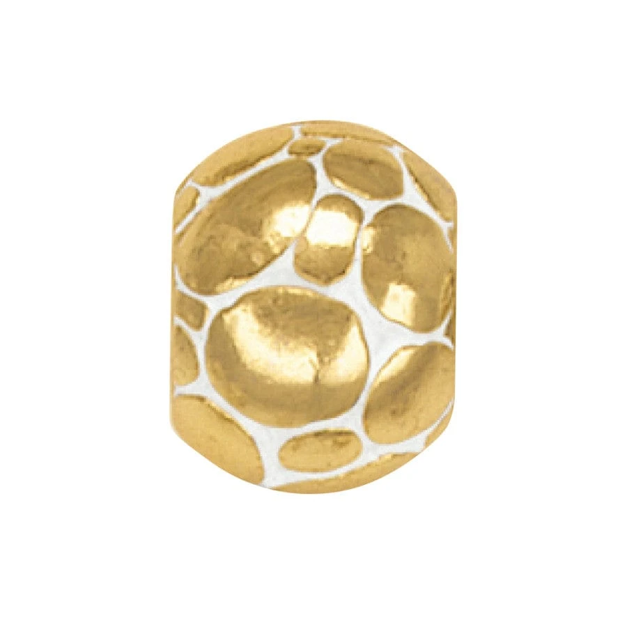 Paradise Cove Shell Charm Bracelet 5 Paradise Cove Shell Charm Bracelet - Image 3