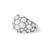 Pebble Ring -Brighton pebble ring silver 0