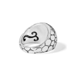 Pebble Ring -Brighton pebble ring silver 2