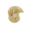 Sea Shell Stopper Bead -Brighton sea shell stopper bead gold 0 02e03e25 26ac 4661 8f2f a45f67da8c52